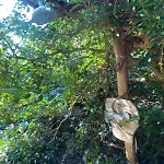 La Casetta, Natura E Mare *